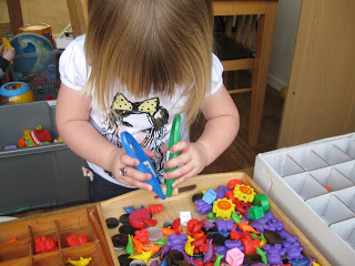 Read more about the article Sorting Tray