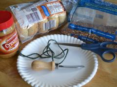 Read more about the article Easy Bagel Bird Feeders